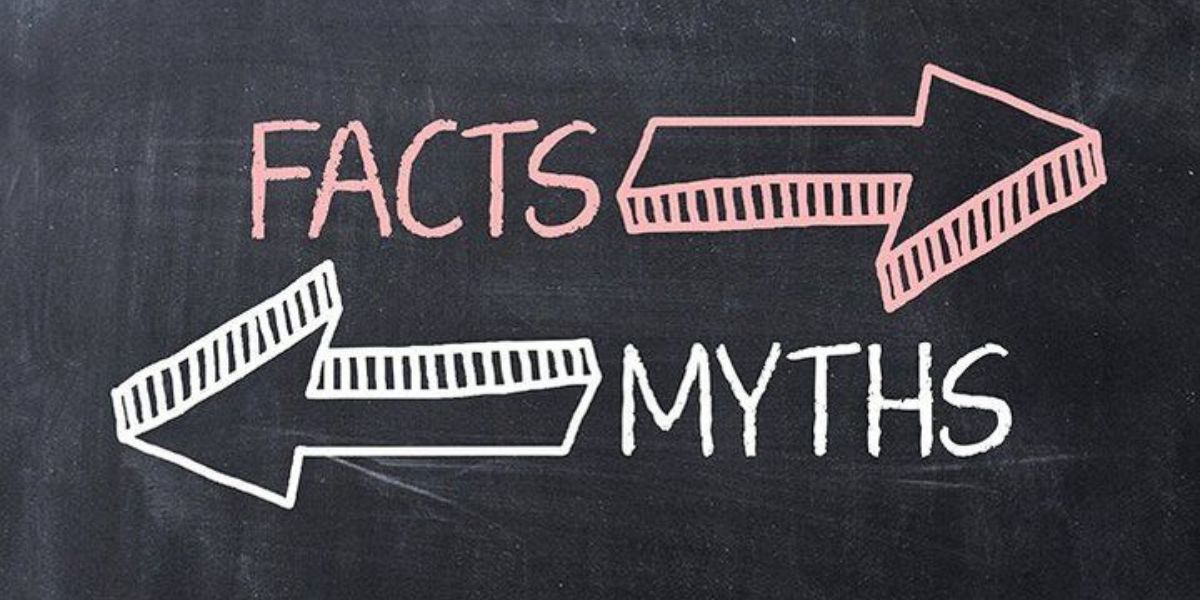 Common Mewing Myths and Misconceptions: Separating Fact from Fiction, by  chikicik, Oct, 2023